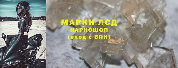 эйфоретик Баксан
