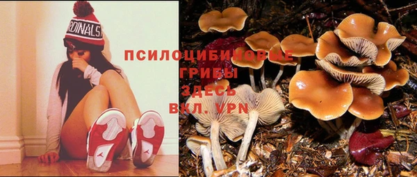 кокс Балахна